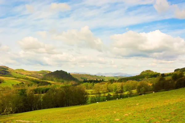 Wiejski krajobraz w Scottish Highlands z lasów i wypas f — Zdjęcie stockowe