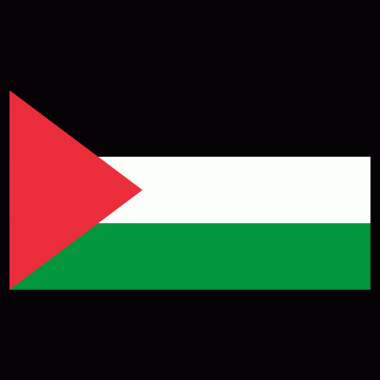 Şeffaf Arkaplanda Filistin Yüksek Kalite Bayrağı