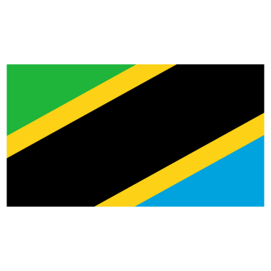 Şeffaf Arkaplanda Tanzanya Yüksek Kalite Bayrağı