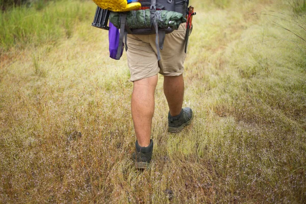 Hiker Walks Small Meadow Tropical Forest Strong Legs — Stock Photo, Image