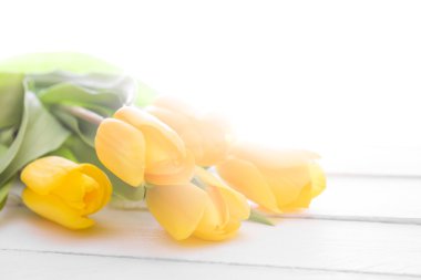 taze Sarı laleler