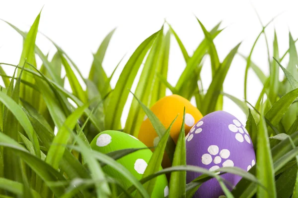 Huevos de Pascua con flor en hierba verde fresca — Foto de Stock