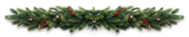 Kırmızı böğürtlen ve koni ile Noel çelengi, beyaz üzerine izole.