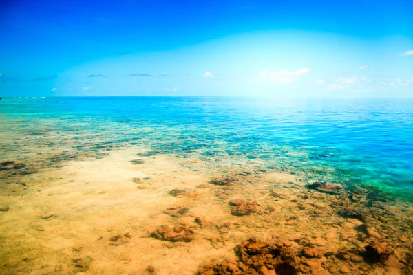 Tropikal sandy beach Maldivler — Stok fotoğraf