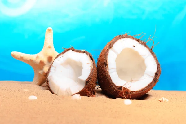 Chopped coconut on sea-beach background — Stock Photo, Image