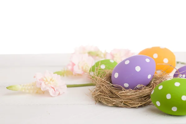 Colorful easter eggs and branch — Stock Photo, Image