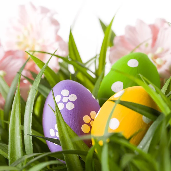 Huevos de Pascua en la hierba verde . —  Fotos de Stock