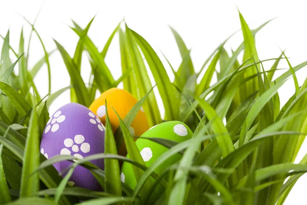 Velikonoční vejce s květem na čerstvé zelené trávě — Stock fotografie