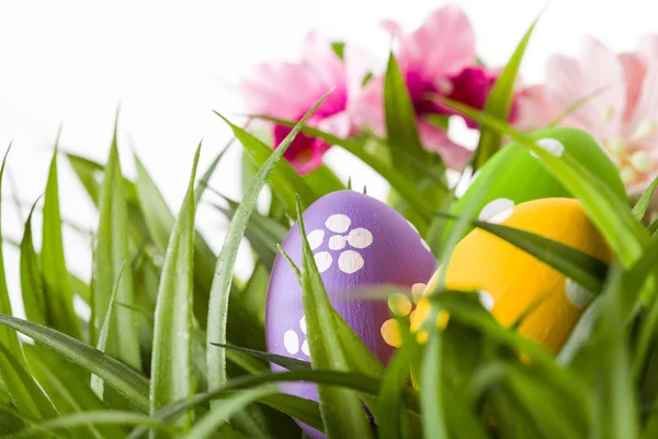 Easter colored eggs on the green grass. — Stock Photo, Image