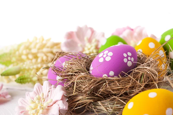 Easter Eggs with Spring Flowers — Stock Photo, Image
