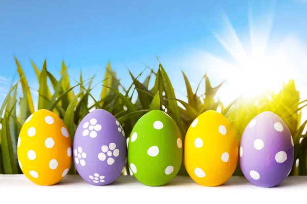 Easter eggs lying on the meadow — Stock Photo, Image