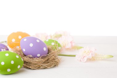 Yuvadaki paskalya yumurtaları
