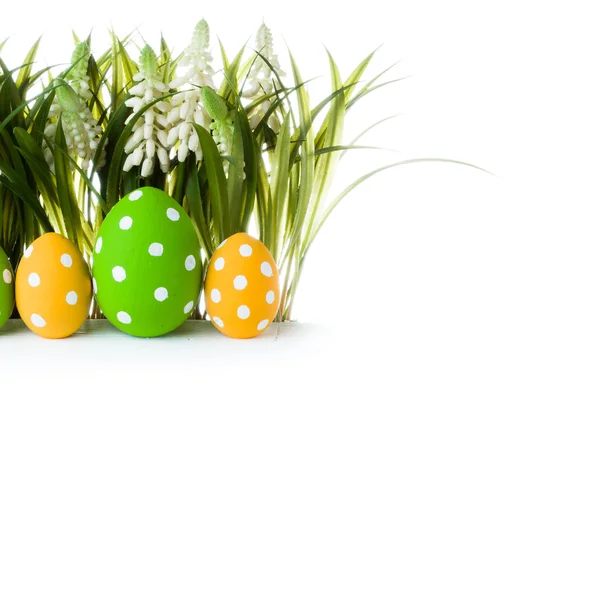 Easter eggs hidden in the grass — Stock Photo, Image