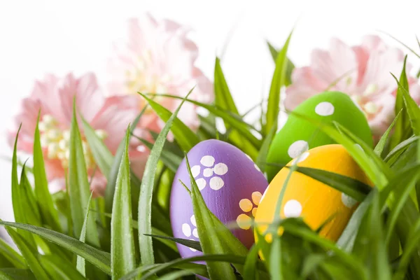 Uova di Pasqua con fiore su erba verde fresca — Foto Stock