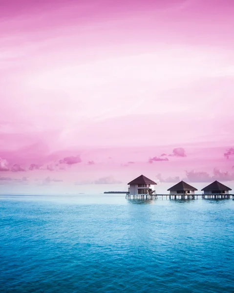 Sunset on Maldives island — Stock Photo, Image