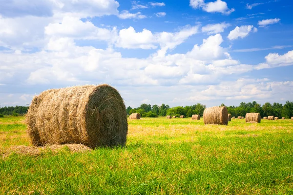 Landschaft mit abgeernteten Ballen — Stockfoto