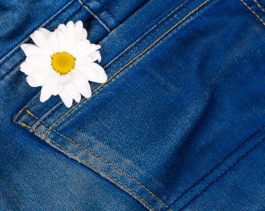 kot pantolon cebinde pembe gerber