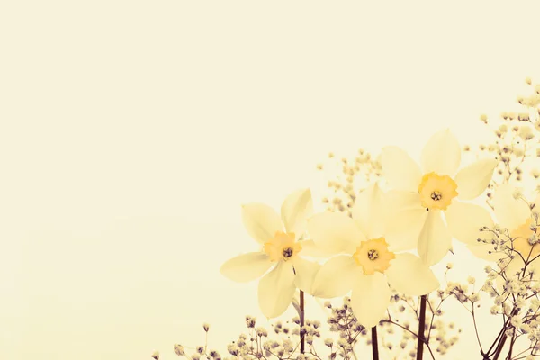 Flor amarelo vintage e bonito — Fotografia de Stock