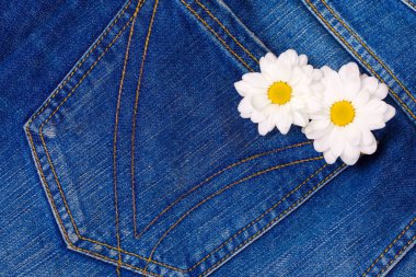 papatya kot pantolon cebinde