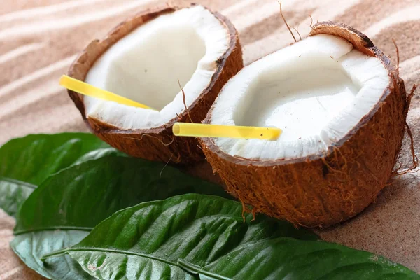 Cocco sulla spiaggia di sabbia — Foto Stock