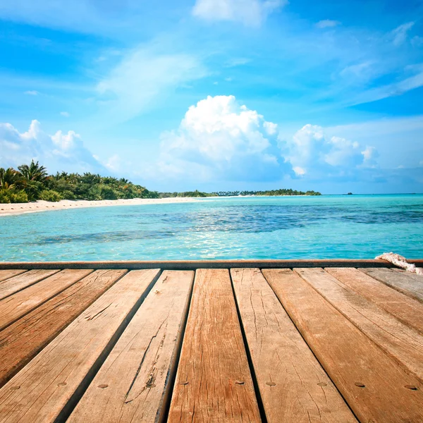 İskele, sahil ve orman - tatil arka plan