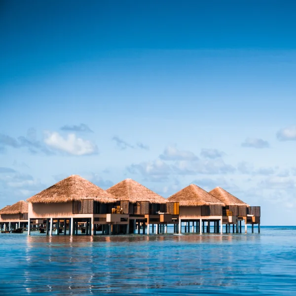 su bungalovlar şaşırtıcı içine adımlar ile yeşil lagün üzerinde