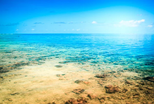 Spiaggia tropicale del resort. Sfondo estivo — Foto Stock