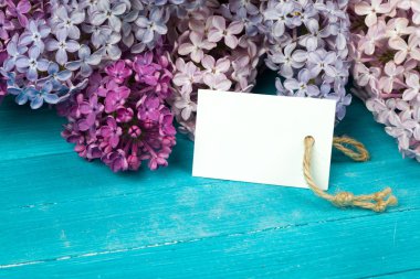 Kartpostal görkemli Eflatun çiçekli