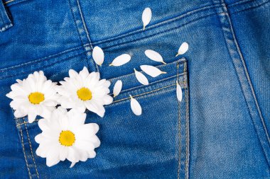 papatya kot pantolon cebinde