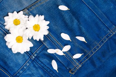 papatya kot pantolon cebinde