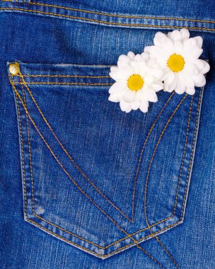 papatya kot pantolon cebinde