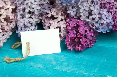 Leylak rustik ahşap zemin üzerine