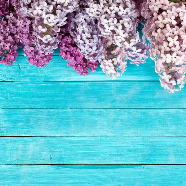 Der schöne Flieder auf einem hölzernen Hintergrund — Stockfoto