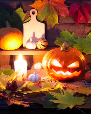 Halloween pumpkins ile natürmort