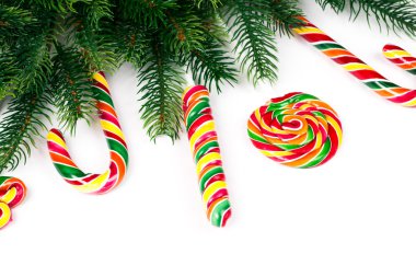 Noel ağacı dalları