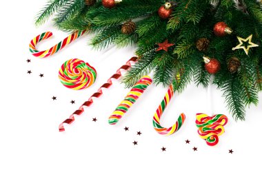 Noel ağacı dalları