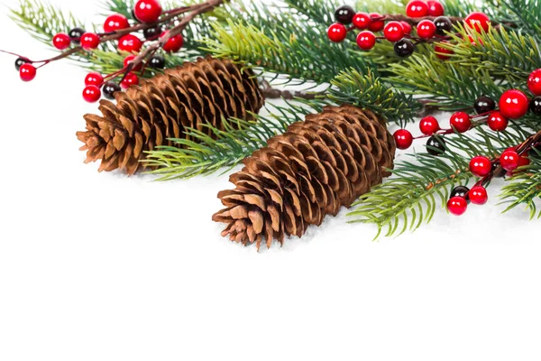 흰색으로 분리되어 있는 콘과 크리스마스 트리 — 스톡 사진