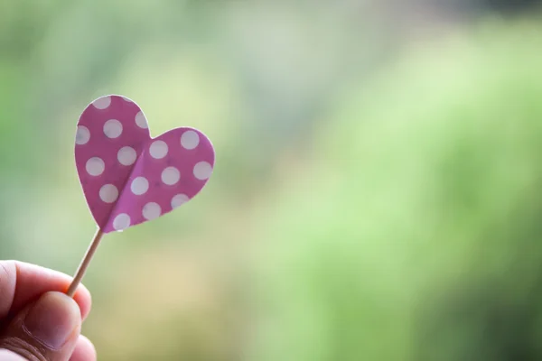 Sosteniendo el corazón de lunares rosa — Foto de Stock