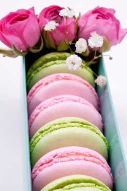 Renkli macaroons ve gül