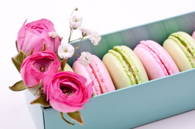 Renkli macaroons ve gül