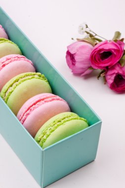 Renkli macaroons ve gül