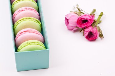 Renkli macaroons ve gül