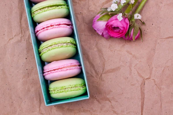 Colorful macaroons and roses — Stock Photo, Image