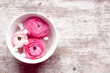 Pembe Düğünçiçeği yakın çekim