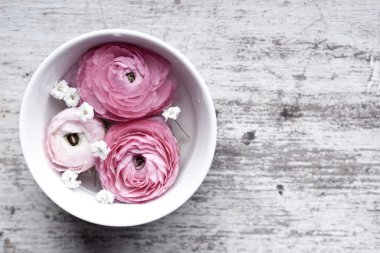 Pembe Düğünçiçeği yakın çekim