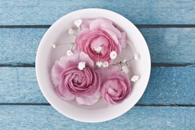 pembe Düğünçiçeği