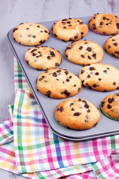 Muffin con gocce di cioccolato — Foto Stock