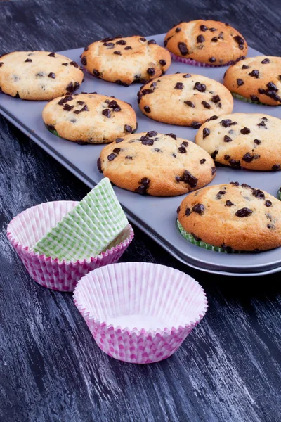 Magdalenas de chispas de chocolate — Foto de Stock