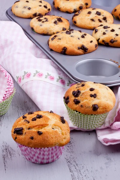 Magdalenas de chispas de chocolate — Foto de Stock