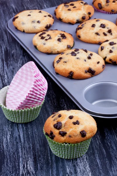 Muffins aux pépites de chocolat — Photo